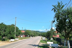 Casa 5cam, curte 2500mp, Bogati, Arges