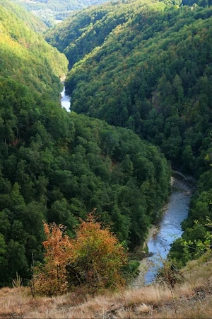 Teren 4000mp Maramures - imagine 4