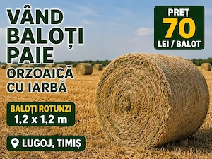 vand balotii