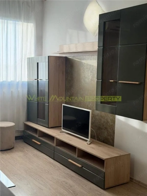 Rin Residence Otopeni, apartament 2 camere - imagine 2