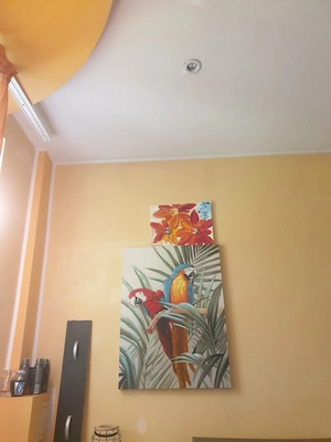 Tablou pictat in culori de ulei (Papagali in Havana)