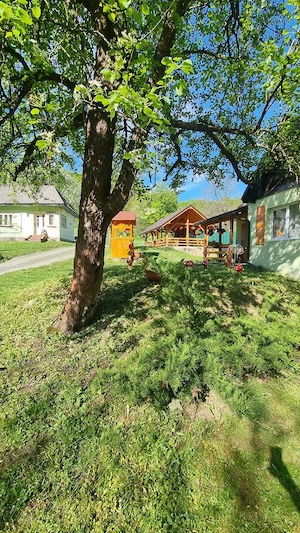 Cabana Ciupercuta  Cabana Maramures Blidari - imagine 5