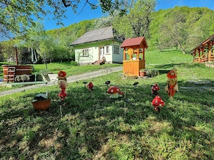 Cabana Ciupercuta  Cabana Maramures Blidari - imagine 3