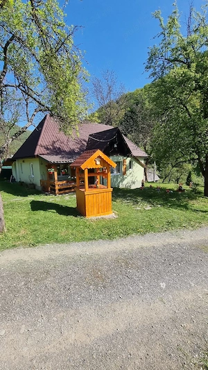 Cabana Ciupercuta  Cabana Maramures Blidari - imagine 4