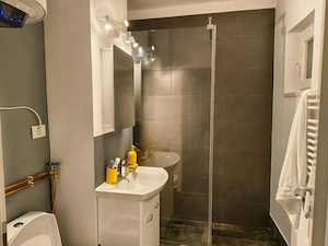 Apartament 2 camere Complex Studentesc V. Parvan  etaj 2 amenajat  integral mobilat utilat - imagine 17