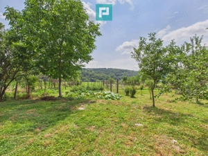 2 case cu teren de 2253 mp în Archiș - imagine 13