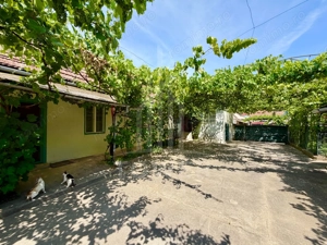 Casă de vânzare-teren 2.300 mp| Ocna Sibiului - imagine 4