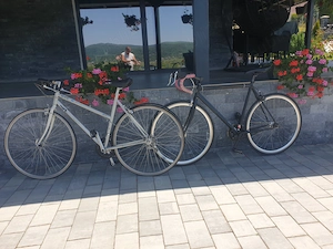 Vand set doua biciclete retro  - imagine 3