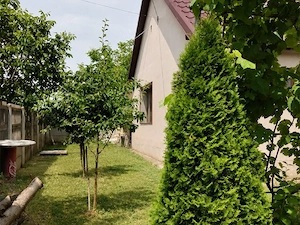 Vand Inchiriez Direct Proprietar  - imagine 4
