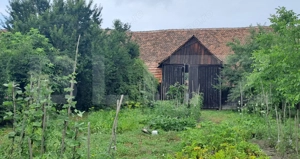 Proprietate cu farmec rural în Beclean, aproape de Făgăraș - Beclean - imagine 2
