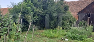 Proprietate cu farmec rural în Beclean, aproape de Făgăraș - Beclean - imagine 5