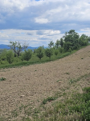 Sălaș+ livadă+ teren agricol în Sichevița- Clisura Dunării - imagine 4