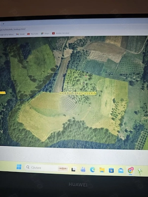 Sălaș+ livadă+ teren agricol în Sichevița- Clisura Dunării - imagine 8