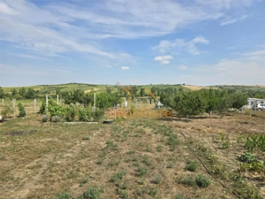 TEREN INTRAVILAN | 1000 MP | PALEU | BIHOR - imagine 3