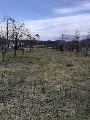 casa cu terenul8000m  - imagine 2