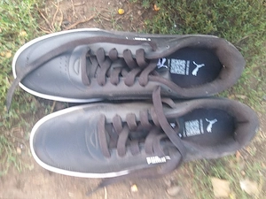 Adidasi.puma.44