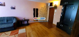 Drumul Taberei Raul Doamnei apartament 2 camere de inchiriat - imagine 8