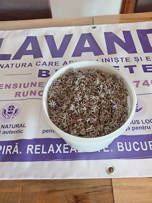 Floare de lavanda uscata la kg. 