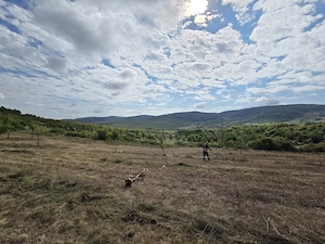 Teren extravilan de vanzare   Pintic-Podul Ocnei (loc. componenta a municipiului Dej), jud. Cluj - imagine 6