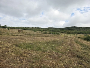 Teren extravilan de vanzare   Pintic-Podul Ocnei (loc. componenta a municipiului Dej), jud. Cluj - imagine 7
