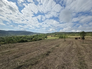 Teren extravilan de vanzare   Pintic-Podul Ocnei (loc. componenta a municipiului Dej), jud. Cluj - imagine 8