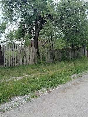 Teren intravilan, 1.584 mp, Com Talea, Jud Prahova - imagine 3