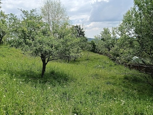 Teren intravilan, 1.584 mp, Com Talea, Jud Prahova - imagine 5