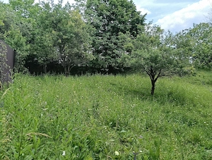 Teren intravilan, 1.584 mp, Com Talea, Jud Prahova - imagine 6