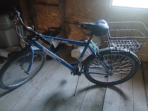 Biciclete adulți și copii