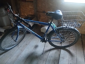 Biciclete adulți și copii
