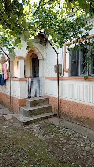 Casă modestă cu 4000 mp  teren intravilan la pret de apatament 2 camere - imagine 7