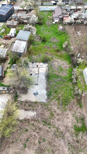 Teren intravilan 1.300 mp | Cazasu | Ideal investiție - imagine 2