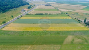 Teren intravilan de vânzare în Codlea, iesirea spre Sibiu - imagine 11