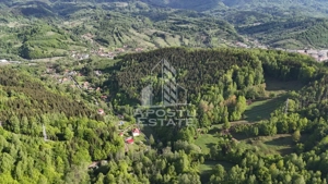 Oportunitate! Domeniu montan, cu lac propriu, oras Lupeni, Hunedoara - imagine 12