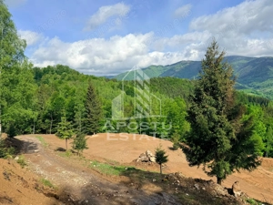 Oportunitate! Domeniu montan, cu lac propriu, oras Lupeni, Hunedoara - imagine 5