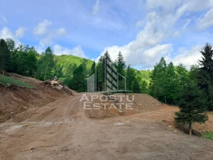 Oportunitate! Domeniu montan, cu lac propriu, oras Lupeni, Hunedoara - imagine 20