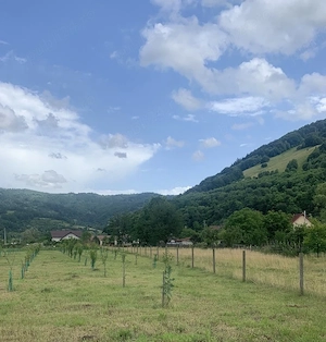 Teren intravilan 4.300 mp   Leordina ( Maramures ), lângă DN18 & Restaurant KM 108 