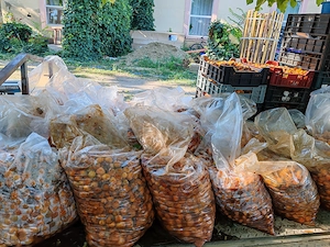 Caise pt borhot 3,5 lei kg