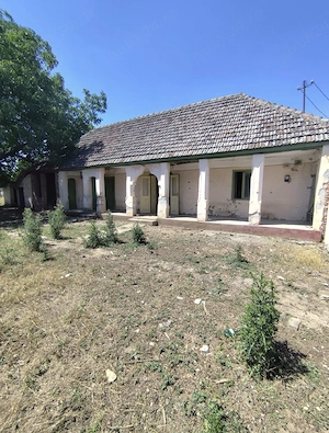 vand casa 1400 de metri patrati in Calugareni 12 km de Arad - imagine 4