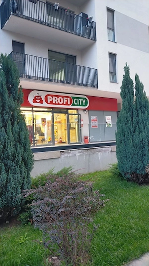 Proprietar, ofer spre închiriere apt cu 2 camere în complex Citta Pantelimon, etaj 4 11 - imagine 9