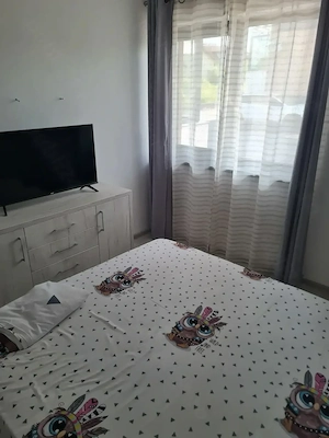 Apartament de inchiriat - imagine 5