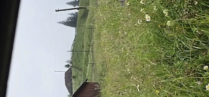 Se vinde casa cu tot cu pământ în poiana stampei sat andrieni 5285 m pătrați  - imagine 8