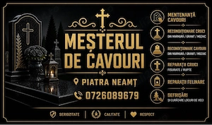Reconditionare Cavouri 
