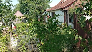 Vand casa Valea Muresului, sat Lalasint