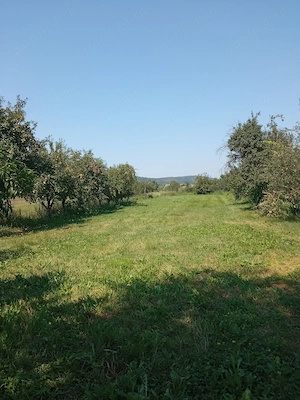 Vand casa Valea Muresului, sat Lalasint - imagine 4