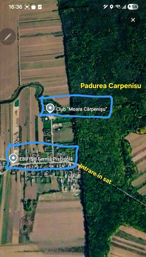 Teren de vânzare lângă București  - imagine 5