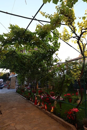 Cazare Costinesti Hostel Adonis - imagine 4