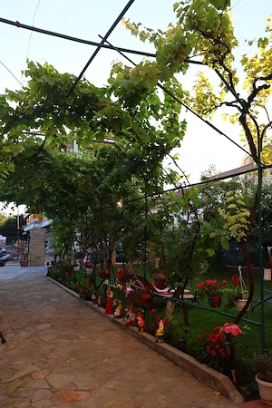 Cazare Costinesti Hostel Adonis - imagine 5