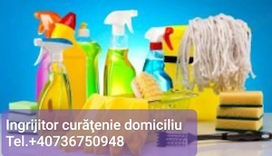 Menajera in domiciliu