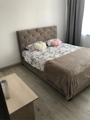 Apartament ultra central - imagine 5